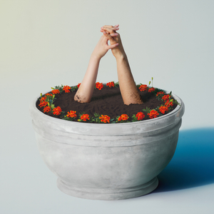 目黑惠AV在线播放免费
